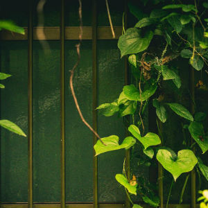 土地家屋調査士