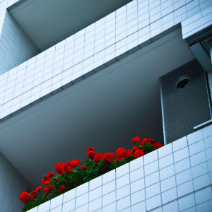 宅地建物取引主任者（宅建）